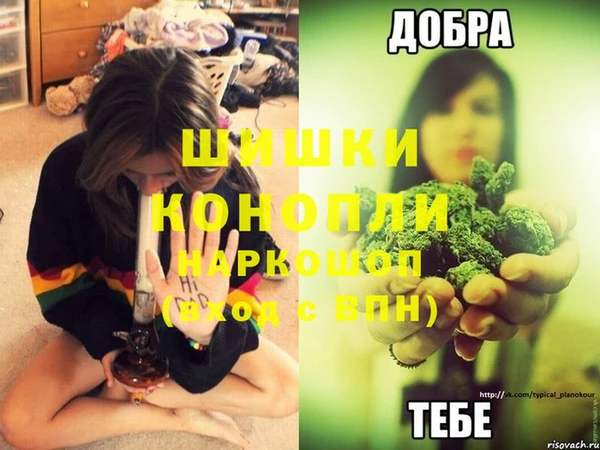 гидропоника Баксан