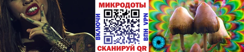 Галлюциногенные грибы Psilocybine cubensis Куйбышев